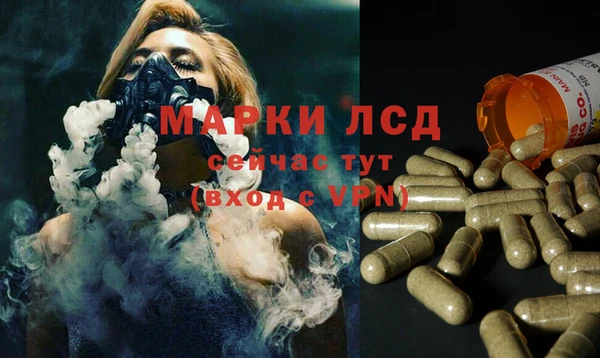герыч Арсеньев