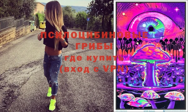 ГАЛЛЮЦИНОГЕННЫЕ ГРИБЫ Армянск